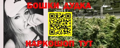 гидра Бузулук