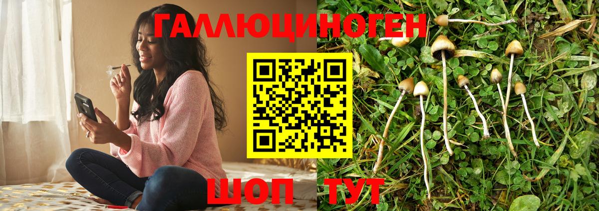 Галлюциногенные грибы мицелий Солнечногорск